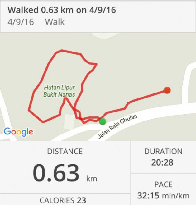 mapmywalk bukit nanas