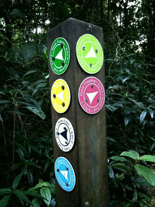 hiking trails at kota damansara