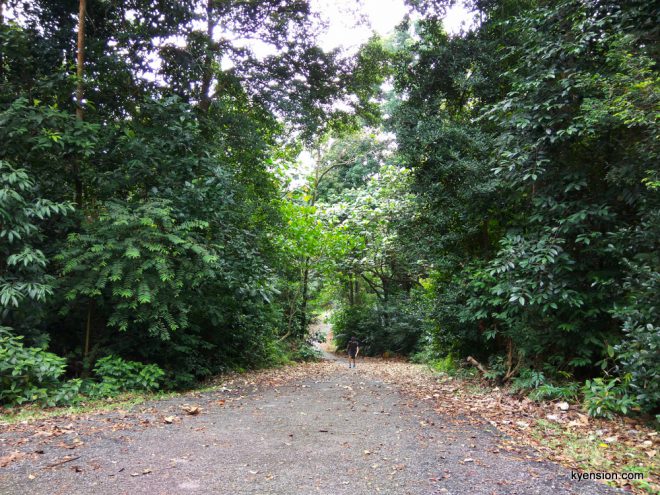 steep hiking trail tar road