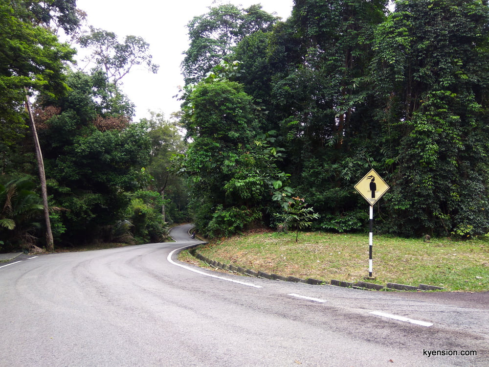 Bukit Sapu Tangan, Shah Alam Hiking – kyension.com